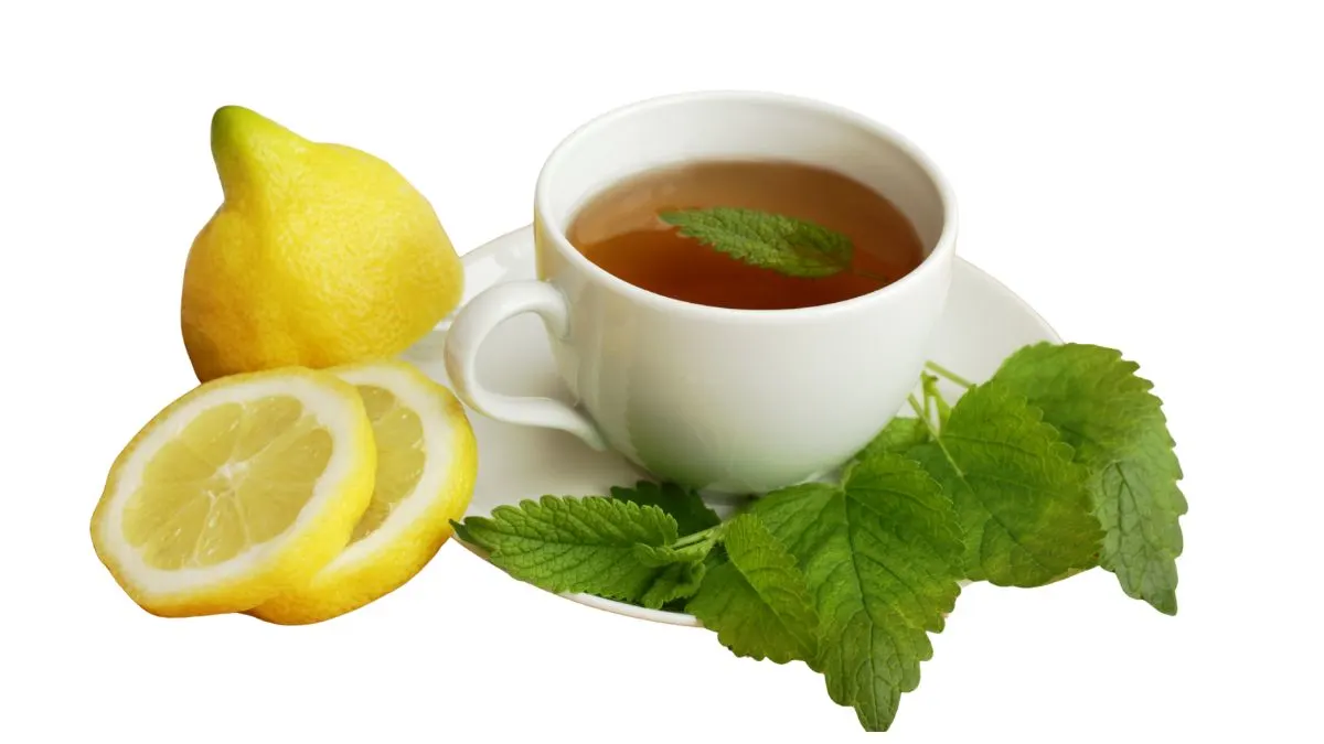 Lemon Balm Tea